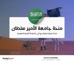 منحة جامعة الأمير سلطان