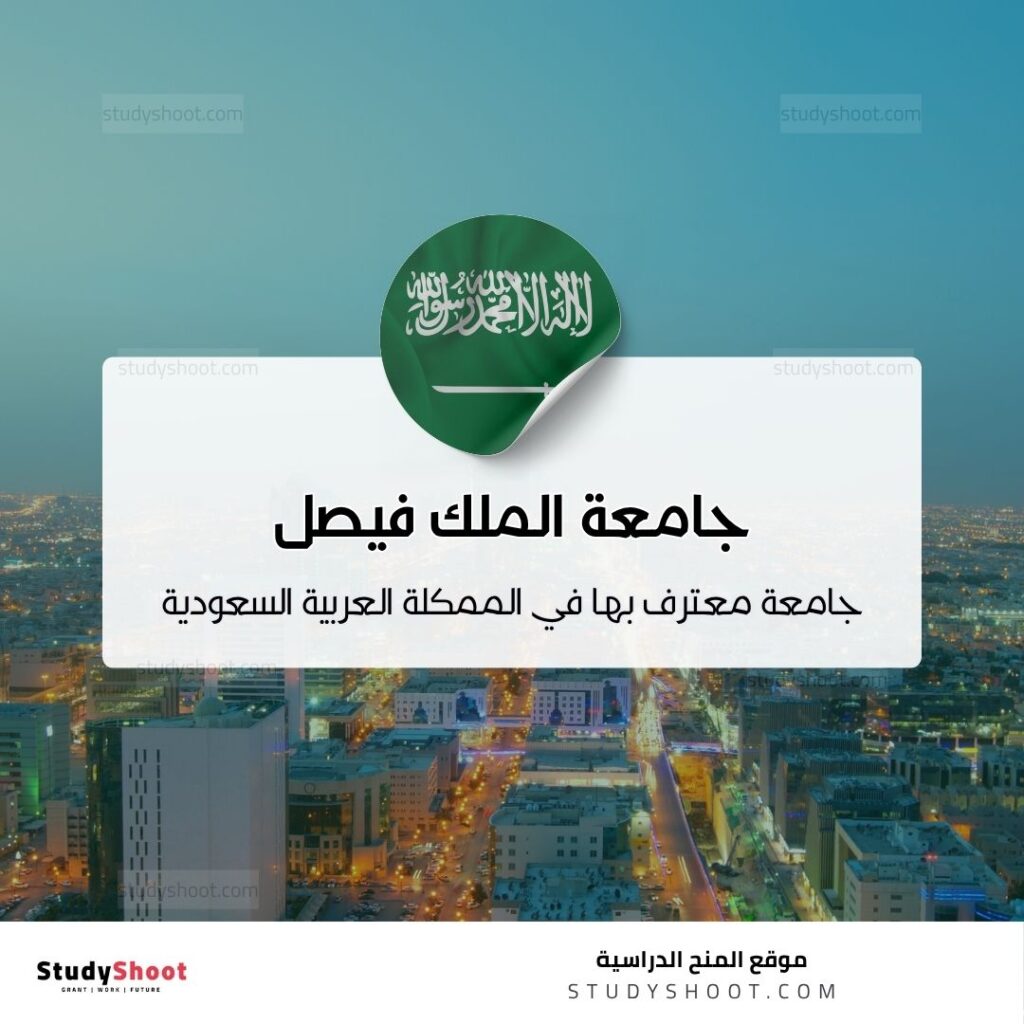 جامعة الملك