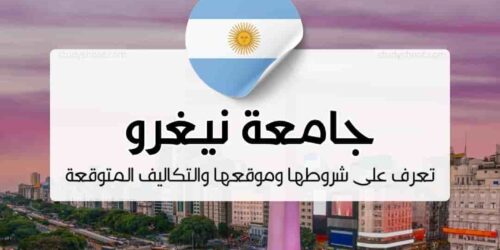 جامعة نيغرو