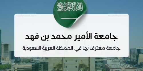 جامعة الأمير محمد بن فهد