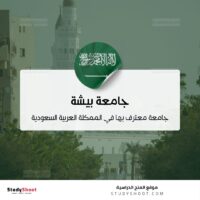 جامعة بيشة