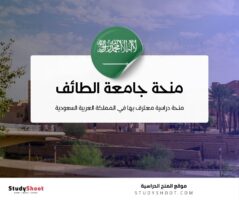 منحة جامعة الطائف