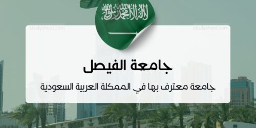 جامعة الفيصل
