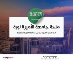 منحة جامعة الأميرة نورة بنت عبد الرحمن