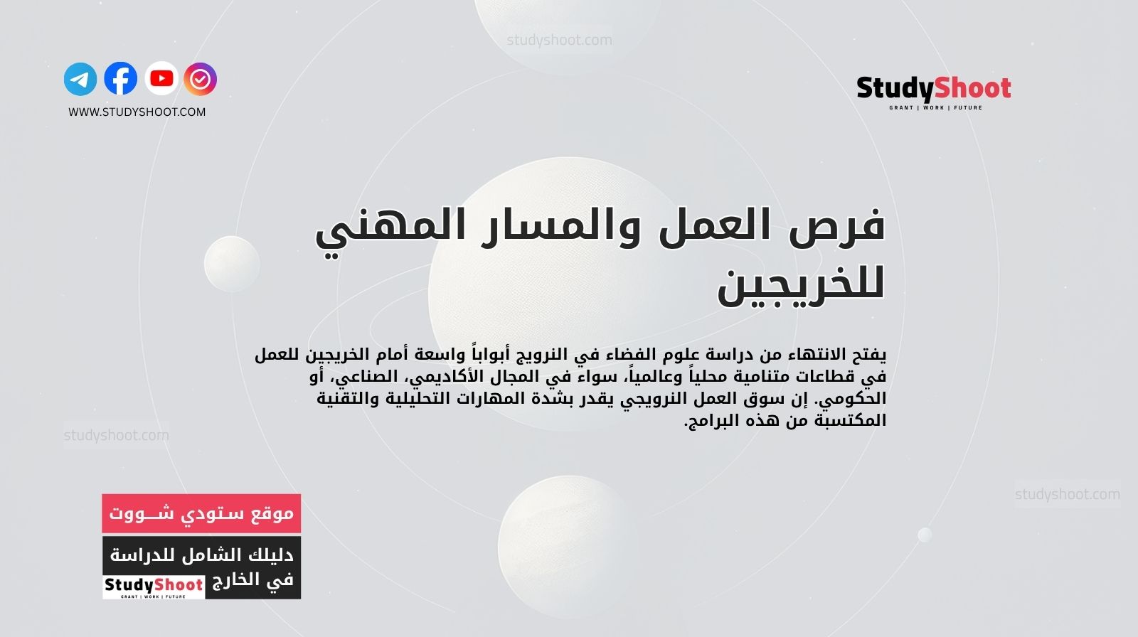 فرص العمل والمسار المهني للخريجين