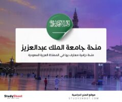 منحة جامعة الملك عبدالعزيز