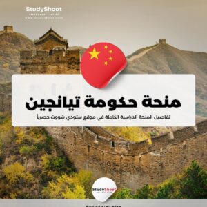 منحة حكومة تيانجين