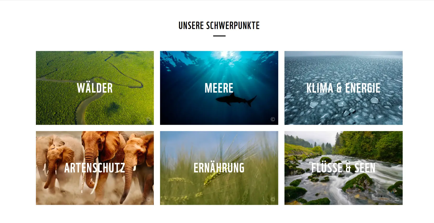 image 6 التطوع في سويسرا 2026: فرص ممولة بالكامل للشباب العربي