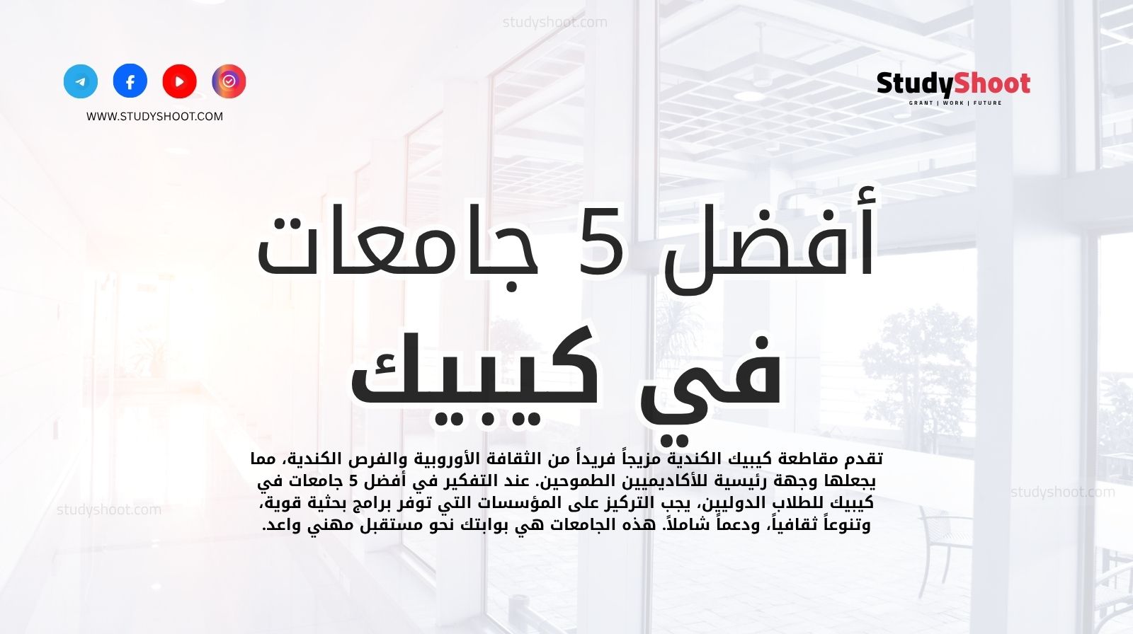 أفضل 5 جامعات في كيبيك للطلاب الدوليين