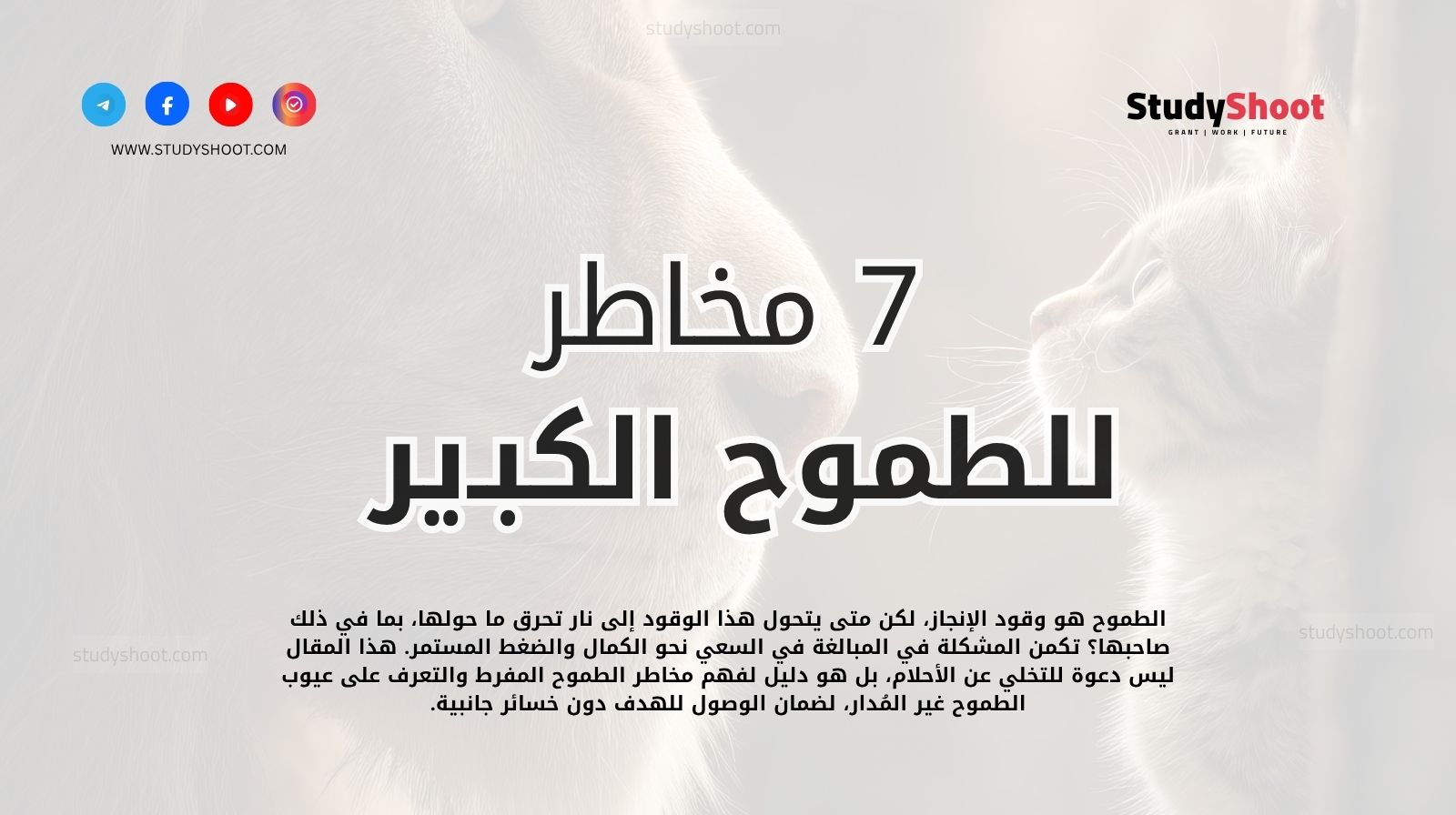 7 مخاطر للطموح الكبير وكيفية تجنبها