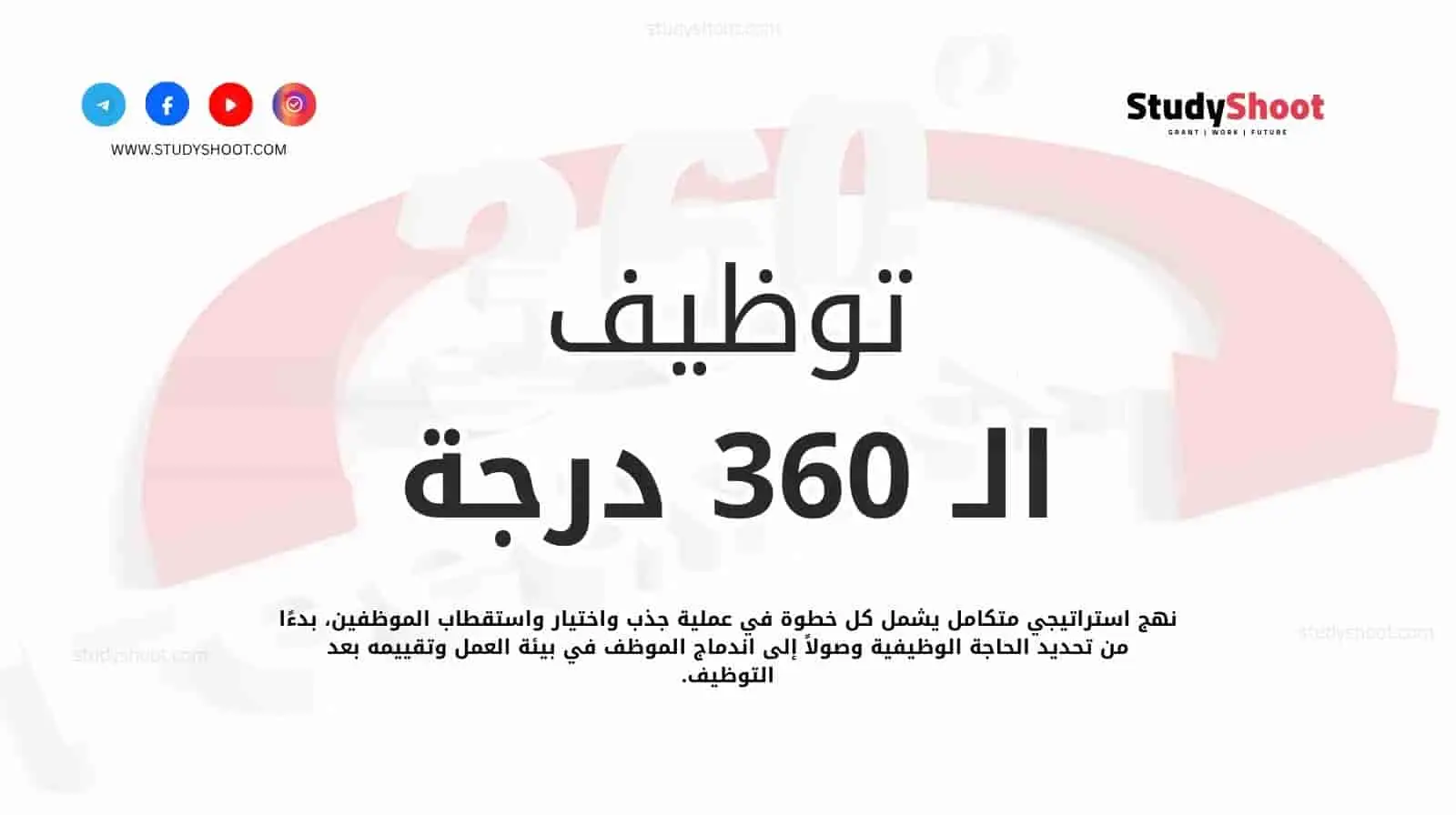 دليل توظيف الـ 360 درجة: 7 مراحل لبناء فريق ناجح