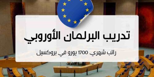 منحة سفر الى بروكسل مع راتب 1700 يورو