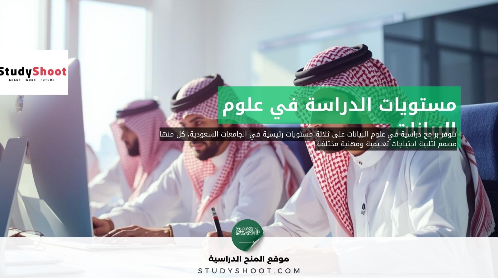 دراسة علوم البيانات في السعودية 1 دراسة علوم البيانات في السعودية مستويات الدراسة في علوم البيانات