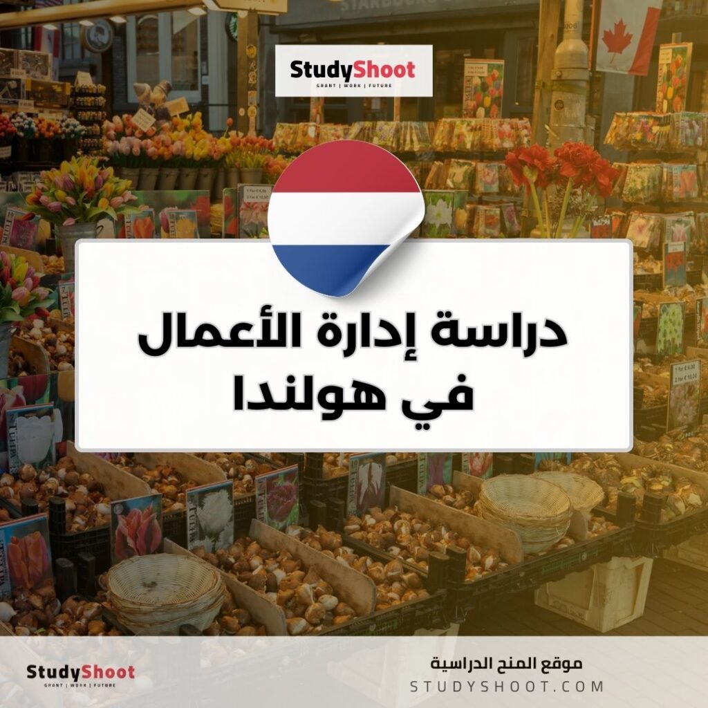 دراسة إدارة الأعمال في هولندا