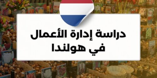 دراسة إدارة الأعمال في هولندا