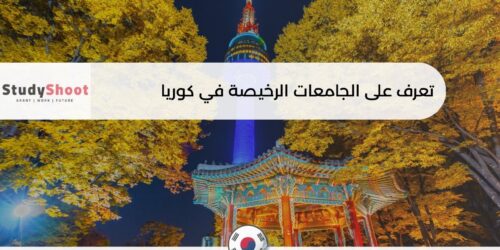 جامعات رخيصة في كوريا