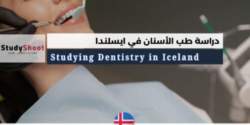 دراسة طب الأسنان في ايسلندا