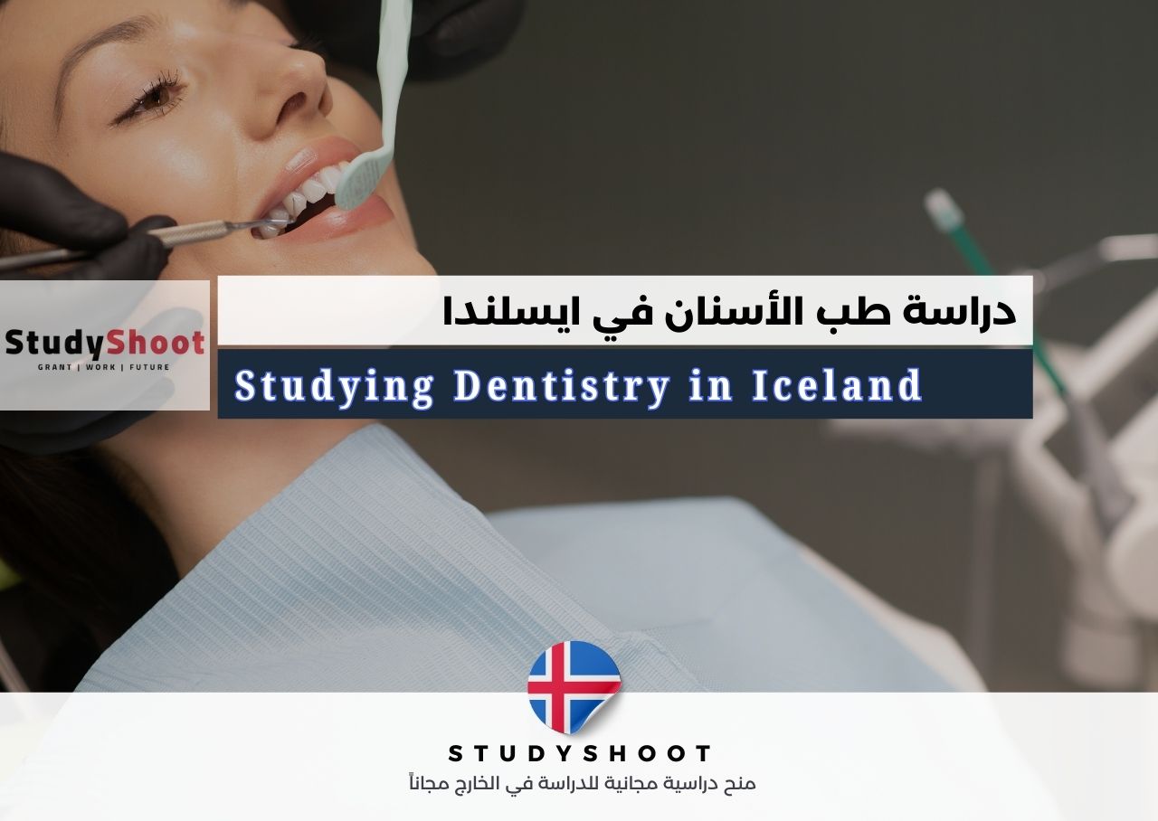 دراسة تخصص طب الأسنان في أيسلندا