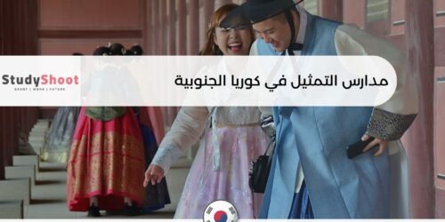 مدارس التمثيل في كوريا الجنوبية