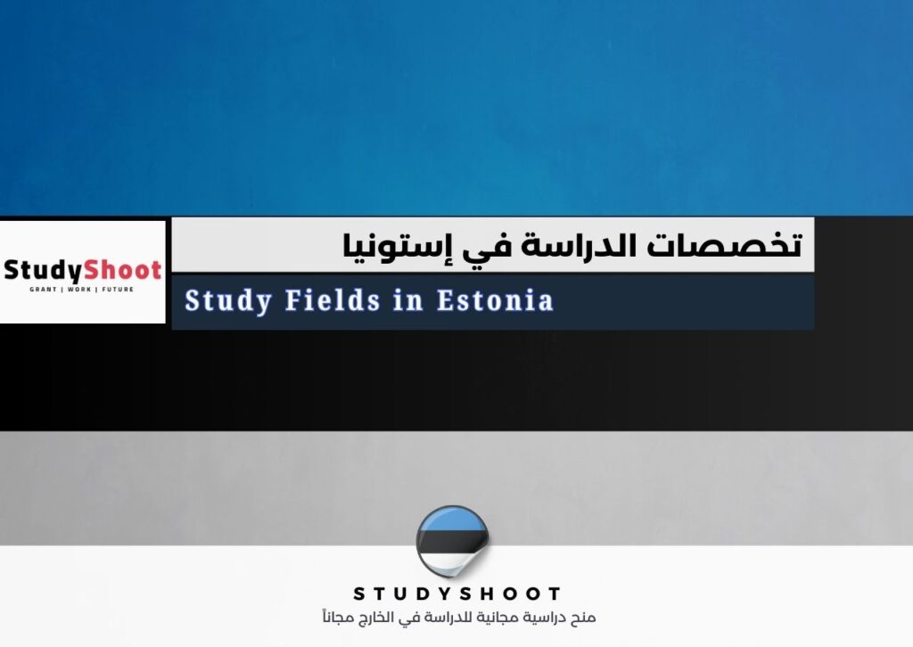 تخصصات الدراسة في إستونيا
