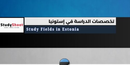 تخصصات الدراسة في إستونيا