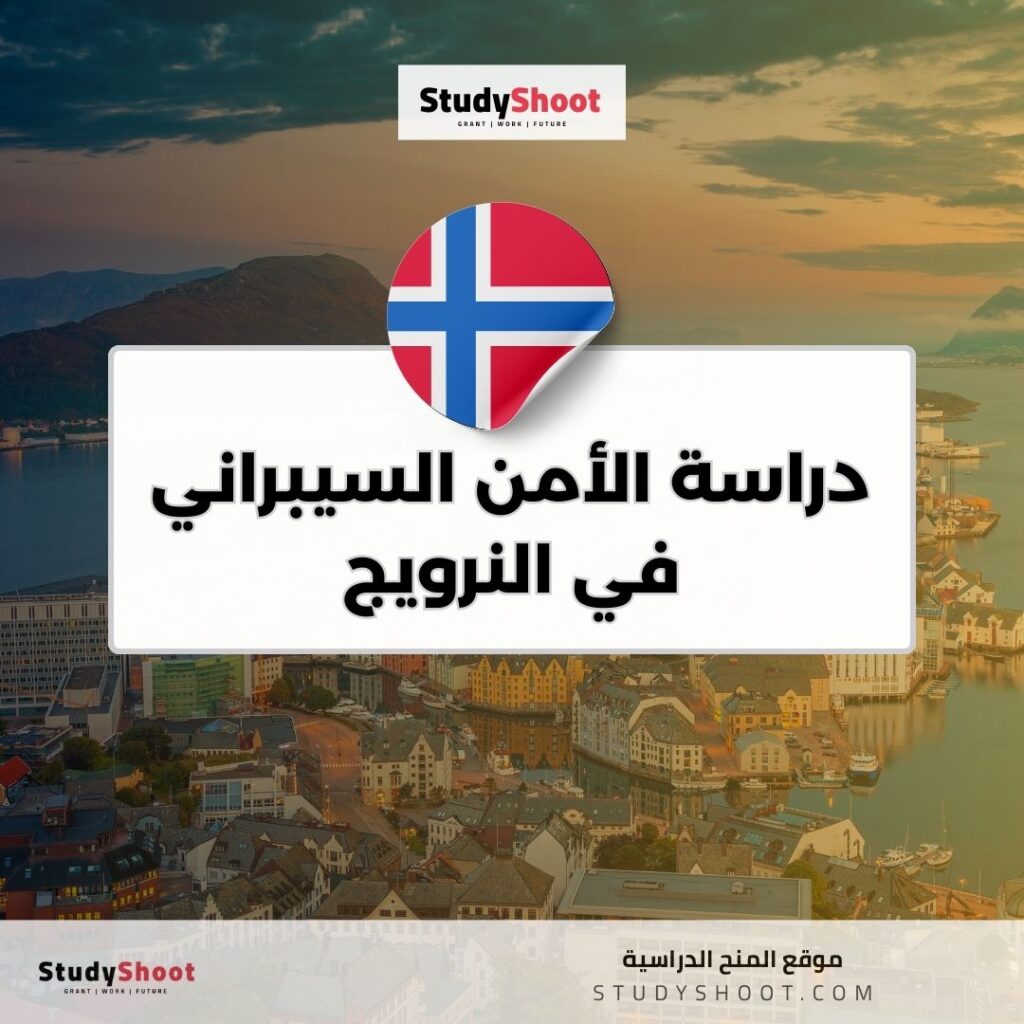 دراسة الأمن السيبراني في النرويج
