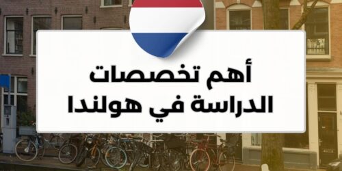 أهم تخصصات الدراسة في هولندا