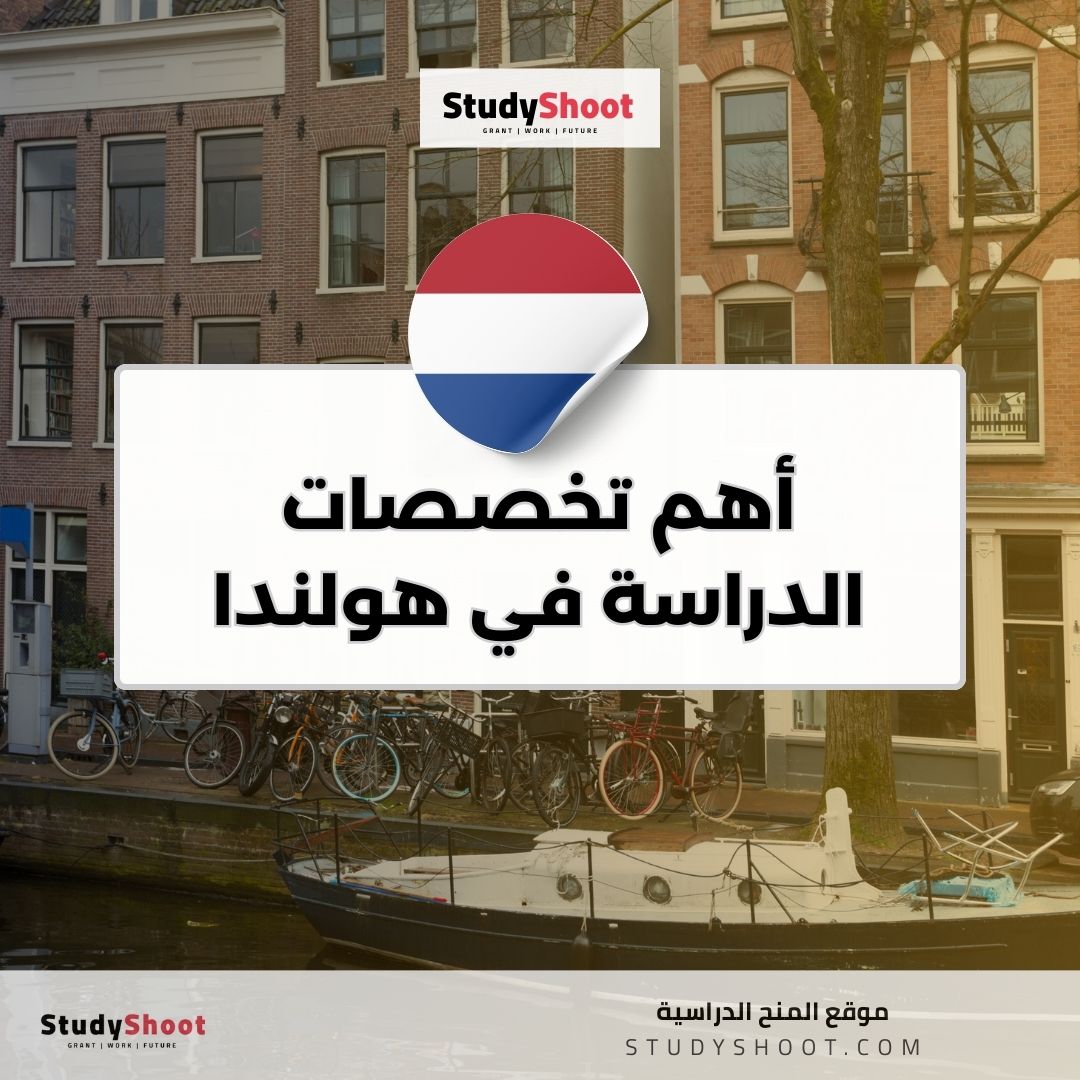 أهم تخصصات الدراسة في هولندا