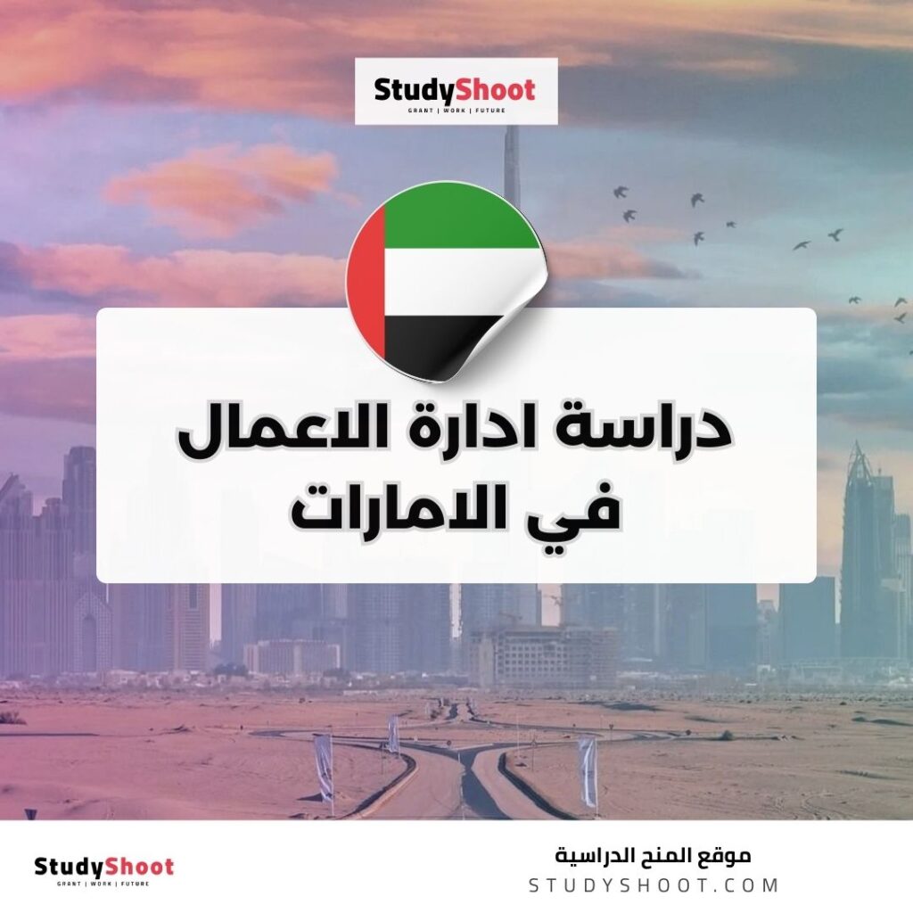 دراسة ادارة الاعمال في الامارات