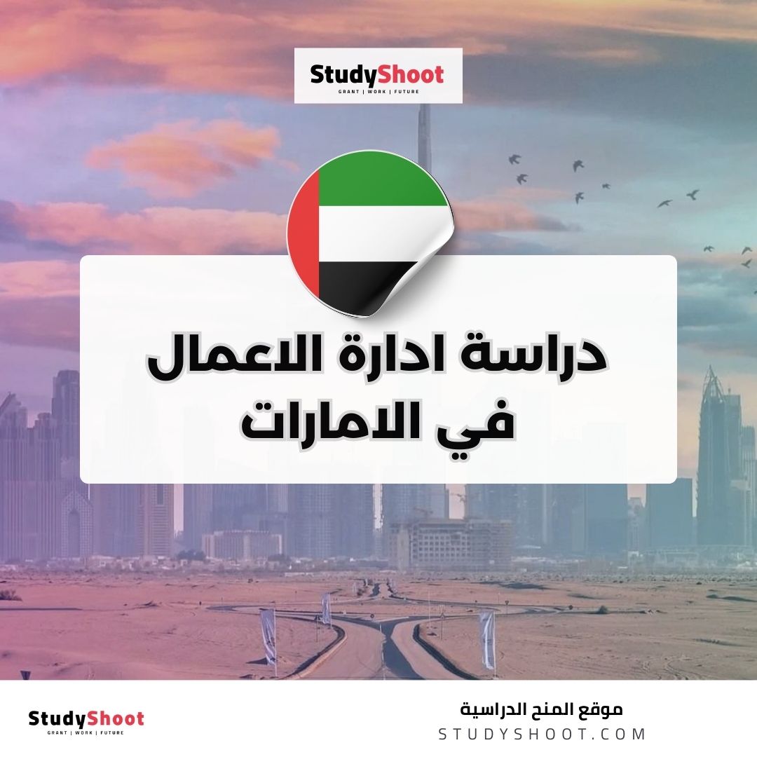 دراسة ادارة الاعمال في الامارات