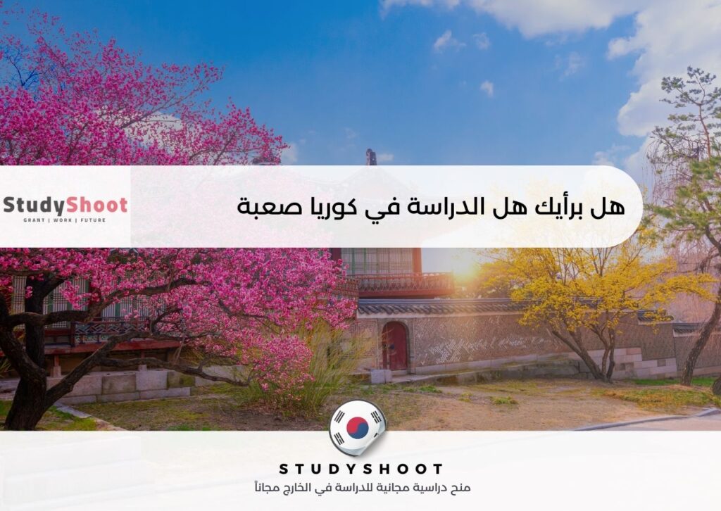 هل الدراسة في كوريا صعبة