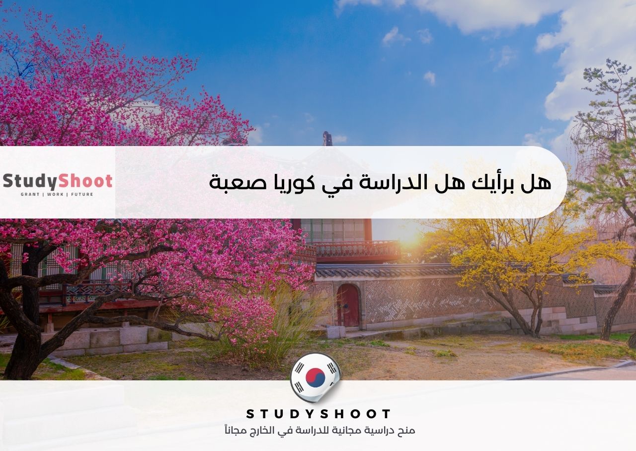 هل الدراسة في كوريا صعبة