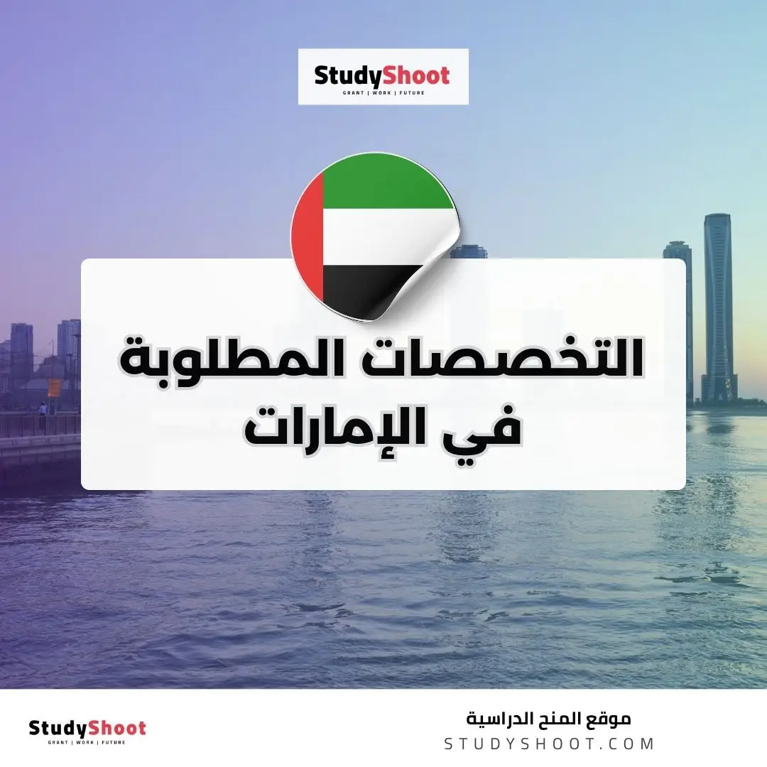 التخصصات المطلوبة في الإمارات: دليل شامل عن أفضل الوظائف والرواتب