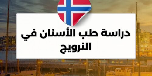دراسة طب الأسنان في النرويج