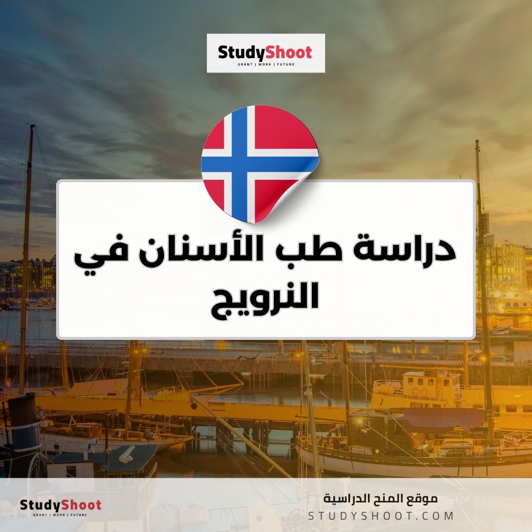 دراسة طب الأسنان في النرويج