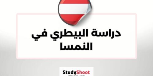 دراسة البيطري في النمسا