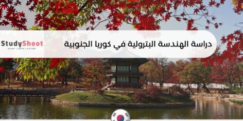 دراسة الهندسة البترولية في كوريا الجنوبية