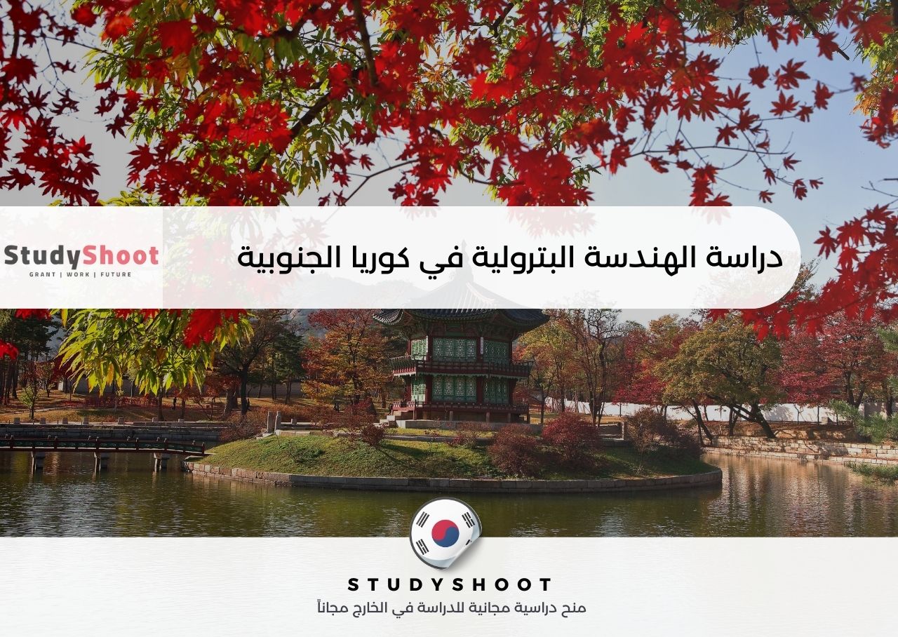 دراسة الهندسة البترولية في كوريا الجنوبية