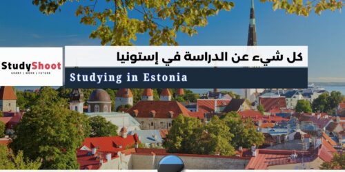 الدراسة في إستونيا