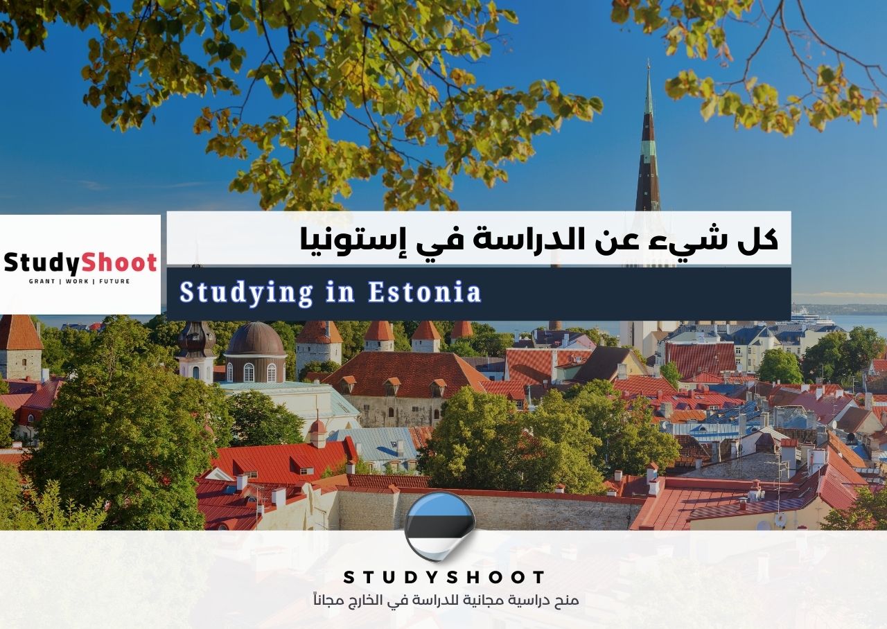 الدراسة في إستونيا