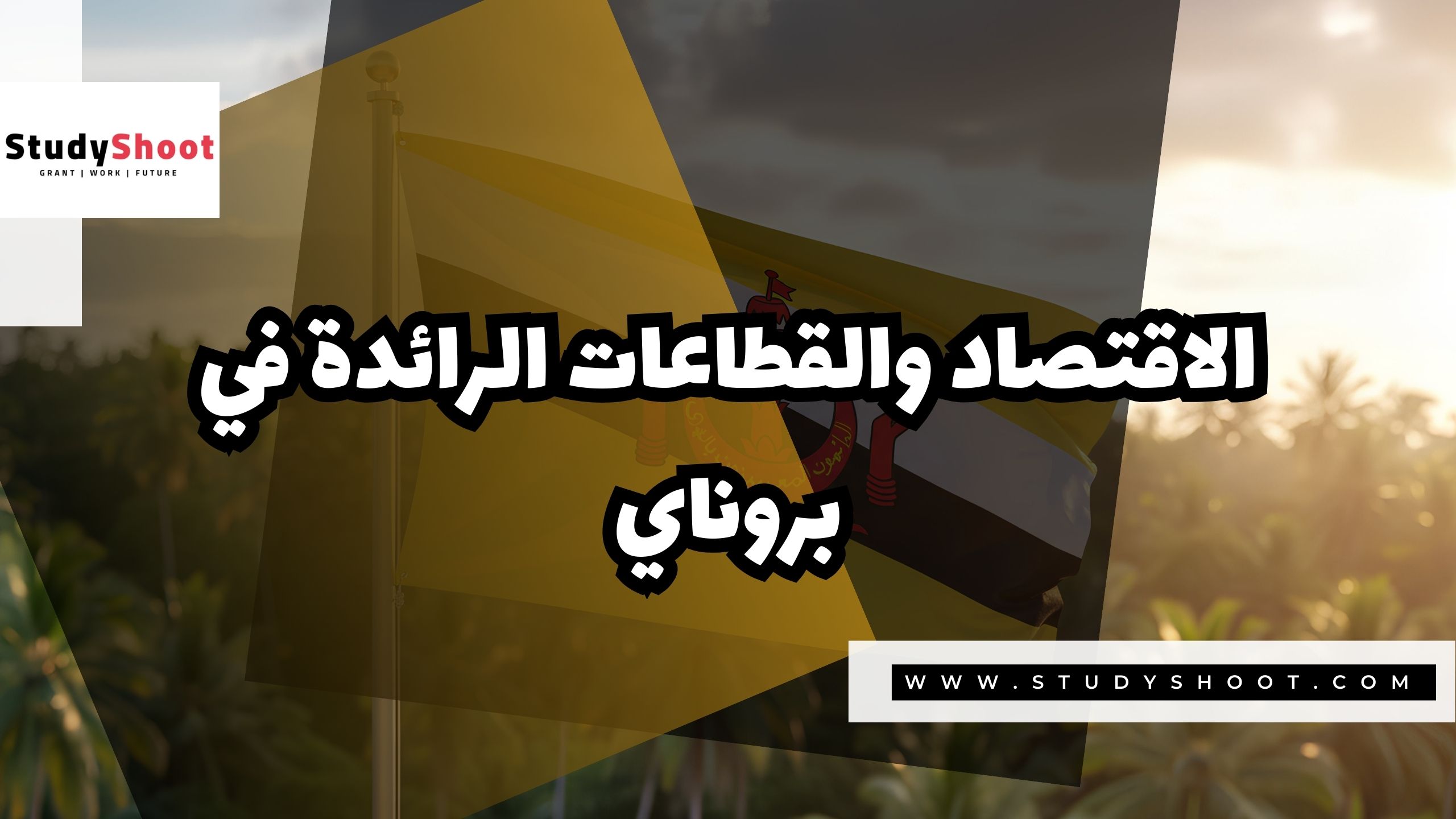 الاقتصاد والقطاعات الرائدة في بروناي