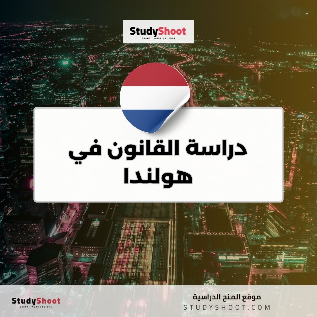 دراسة القانون في هولندا