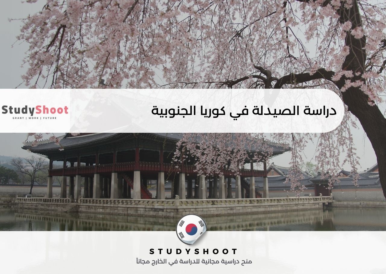 دراسة الصيدلة في كوريا الجنوبية