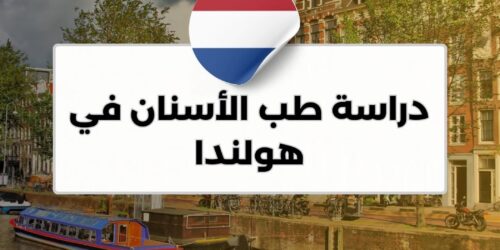 دراسة طب الأسنان في هولندا