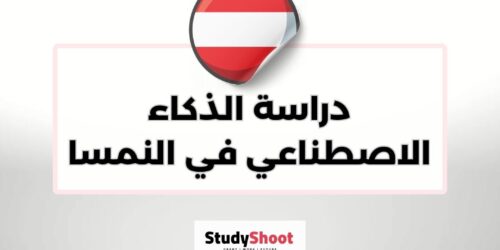 دراسة الذكاء الاصطناعي في النمسا