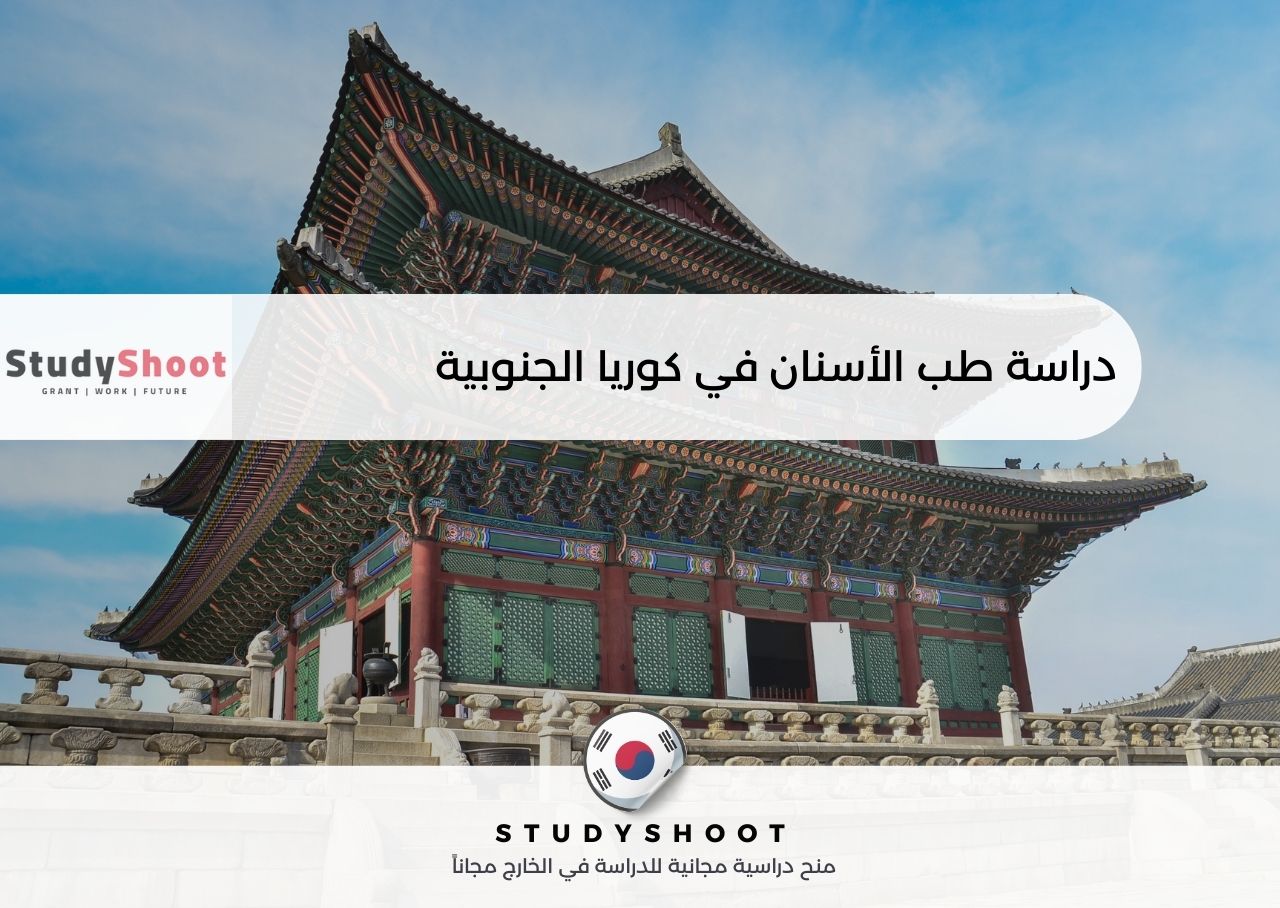 دراسة طب الأسنان في كوريا الجنوبية