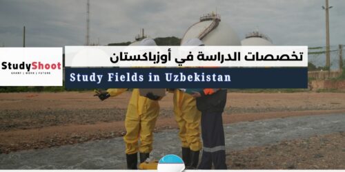 تخصصات الدراسة في أوزباكستان