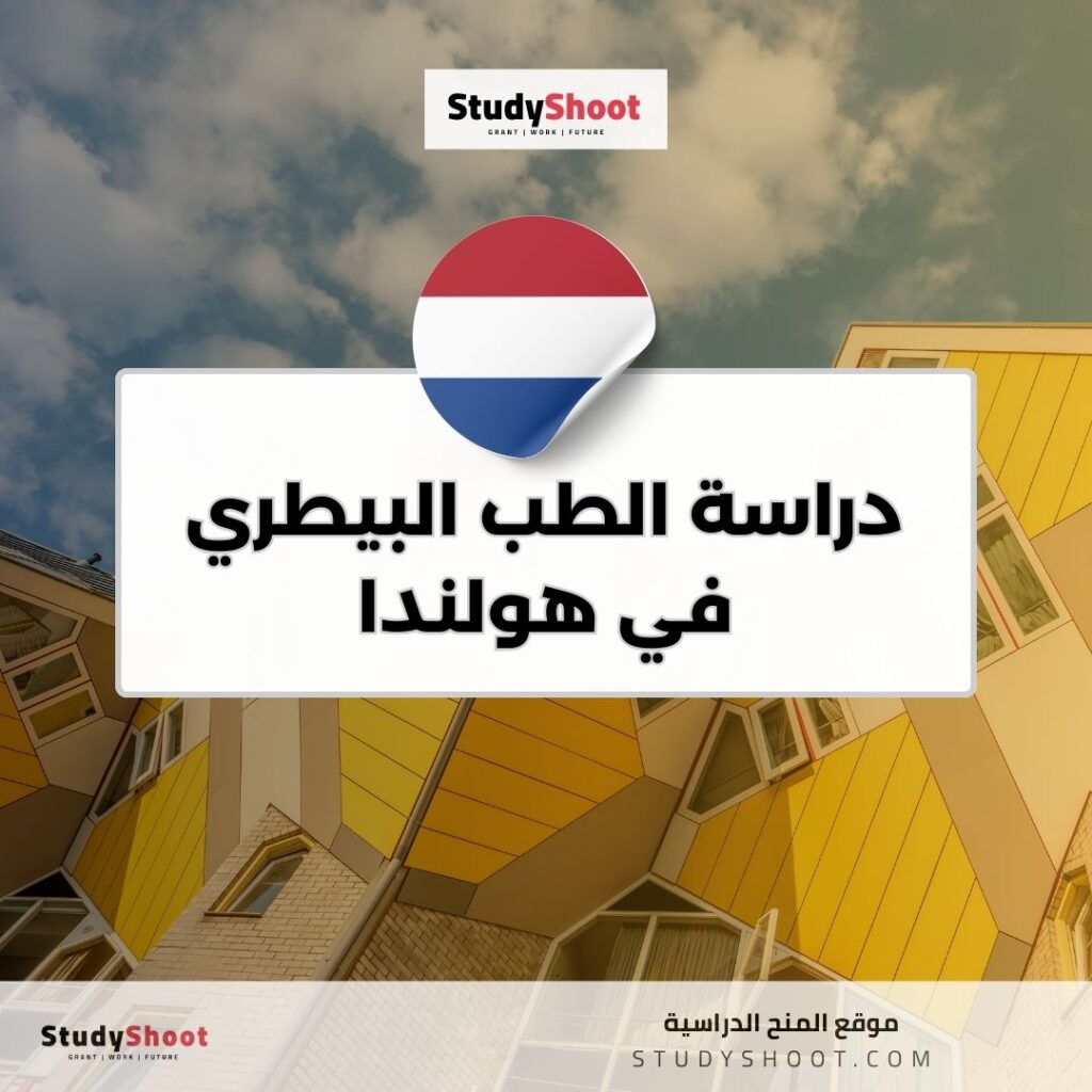 دراسة الطب البيطري في هولندا