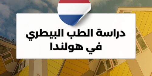 دراسة الطب البيطري في هولندا