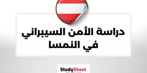 دراسة الأمن السيبراني في النمسا